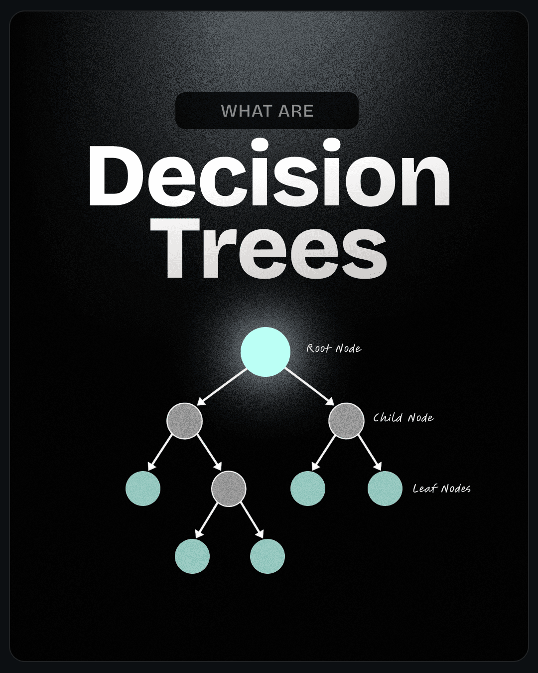 What Are Decision Trees